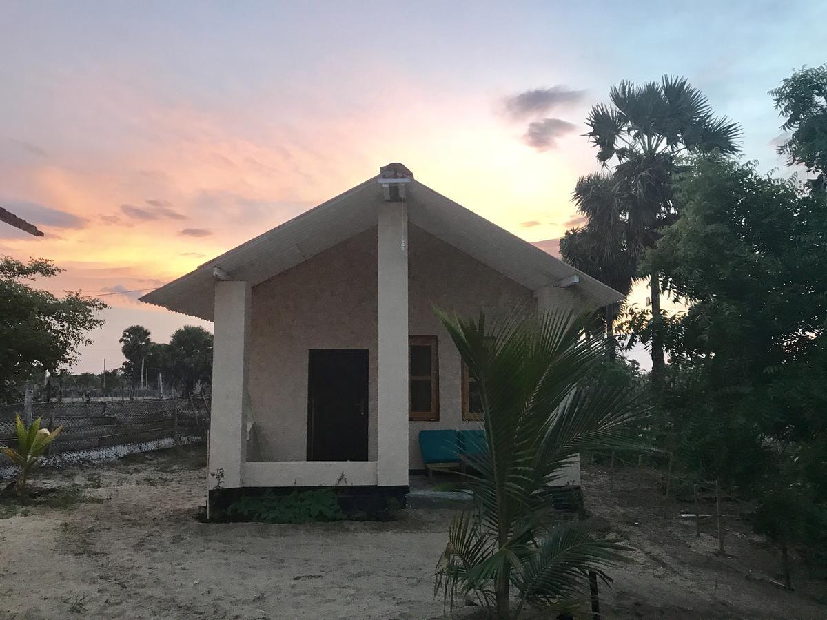 The Coconut Pottuvil Exterior foto